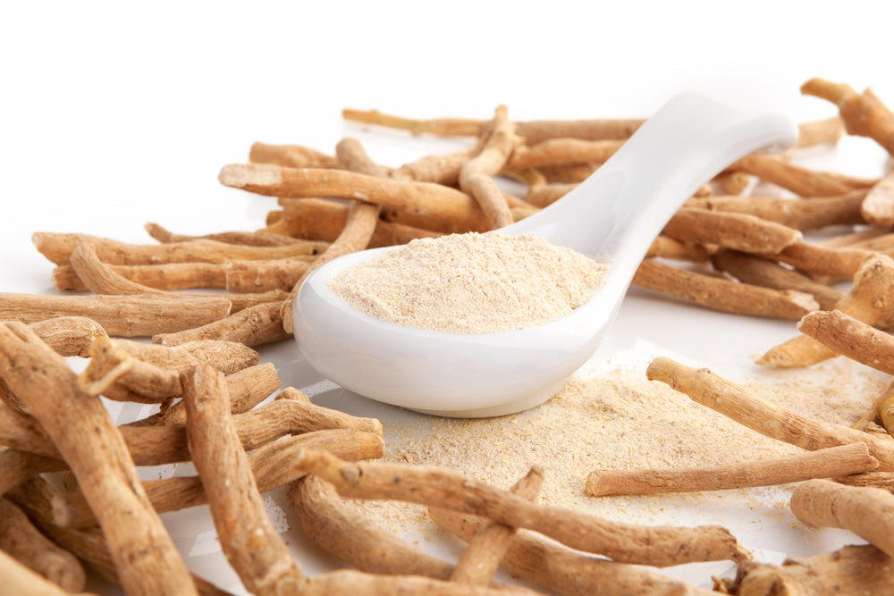 Ashwagandha: Wirkung und Anwendung der Schlafbeere
