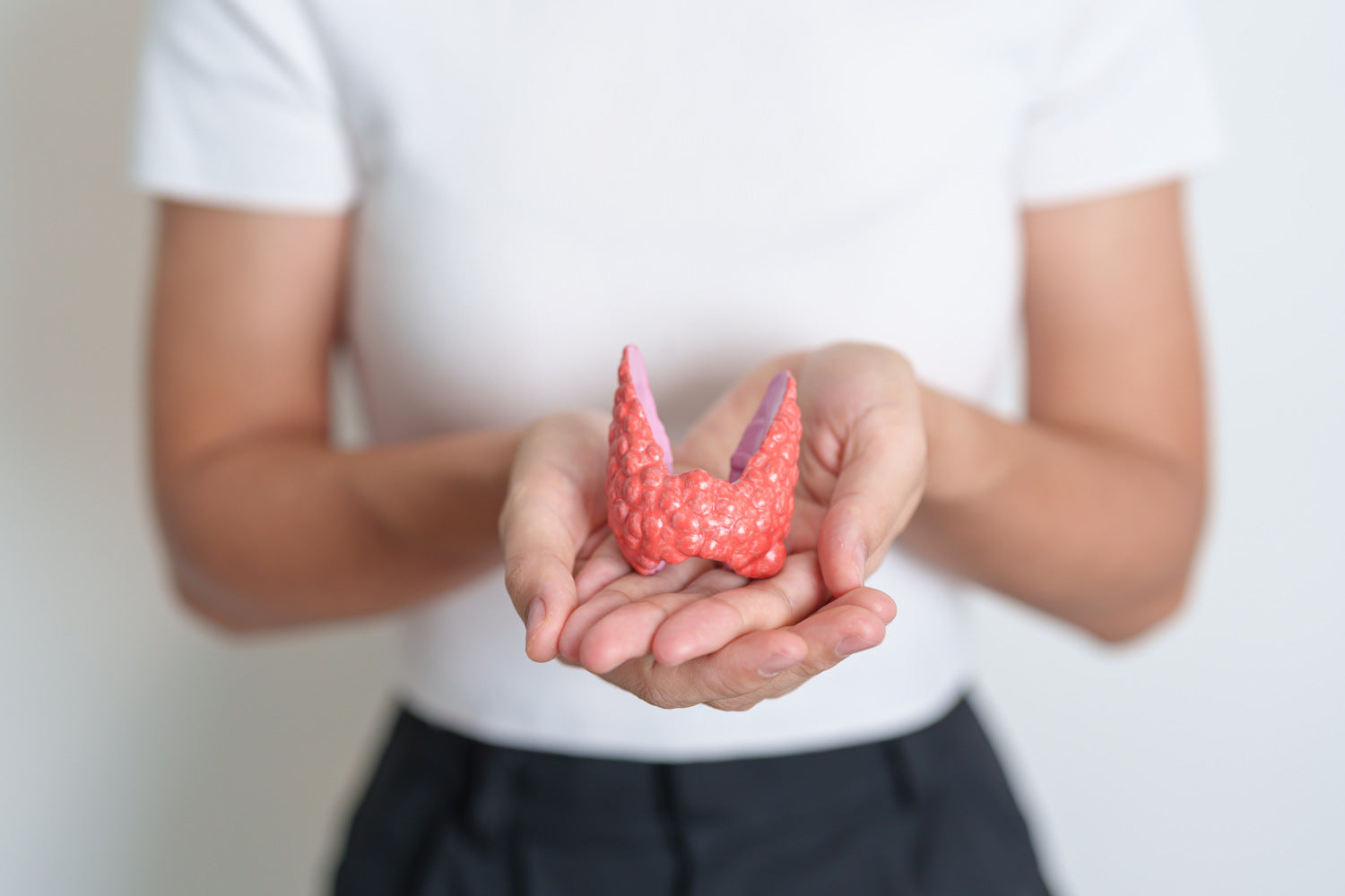 Hashimoto Thyreoiditis: Symptome lindern und Wohlbefinden steigern