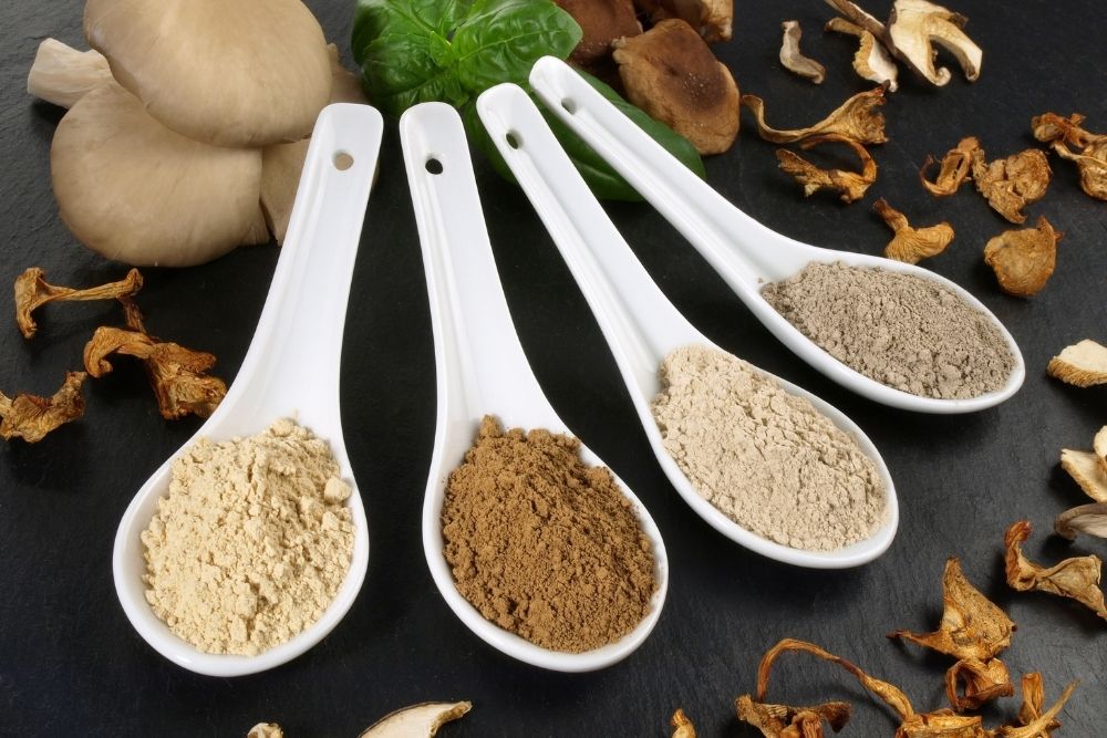 Die besten Vitalpilze für Frauen in den Wechseljahren