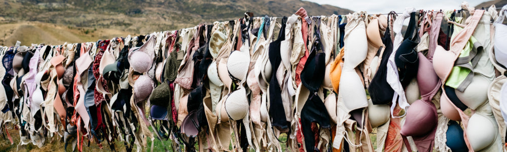 Frauenspezifische Forschung: Ein neues Feld?