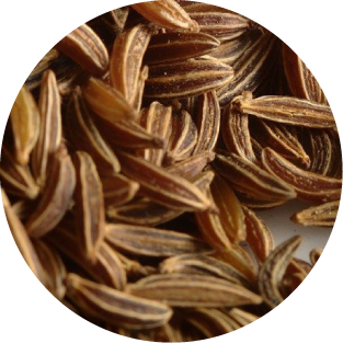 Kümmel