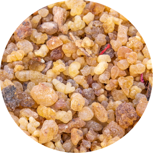 Boswellia serrata