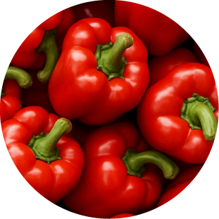 Riboflavin