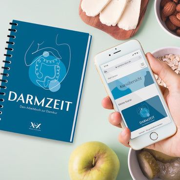 Darmzeit Video-Kurs