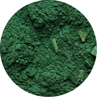 Spirulina