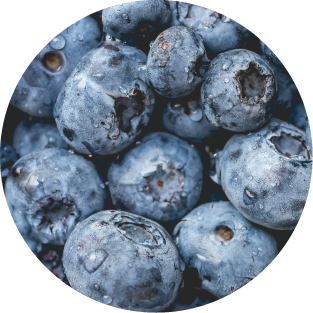 Heidelbeeren