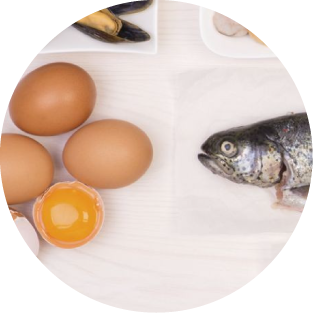 Vitamin B12